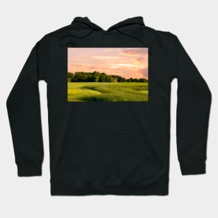 Glorious Field Hoodie